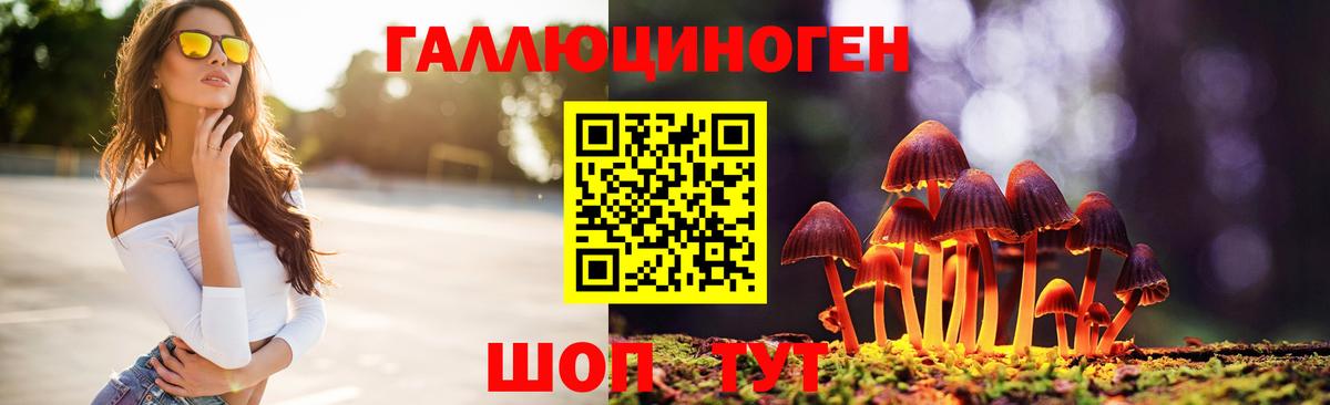цена наркотик  Вход с VPN  Шахты  Псилоцибиновые грибы ЛСД  Псилоцибиновые грибы прущие грибы 